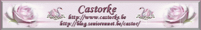 banner_Castorke